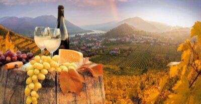 Winery and Wine Tasting Tour with a Wine Expert