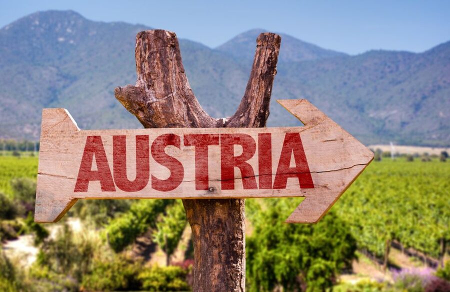 Vienna: Winery and Wine Tasting Tour with a Wine Expert - What the wine lesson actually adds