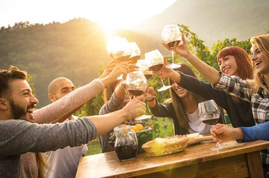 Vienna: Winery and Wine Tasting Tour with a Wine Expert - Who should book this private experience?