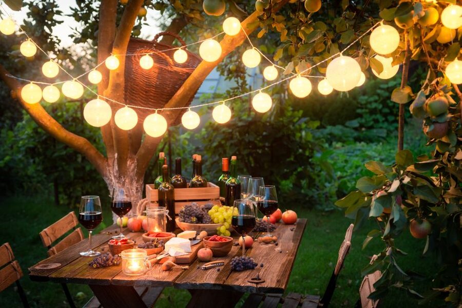Vienna: Winery and Wine Tasting Tour with a Wine Expert - Booking tips for choosing the right option