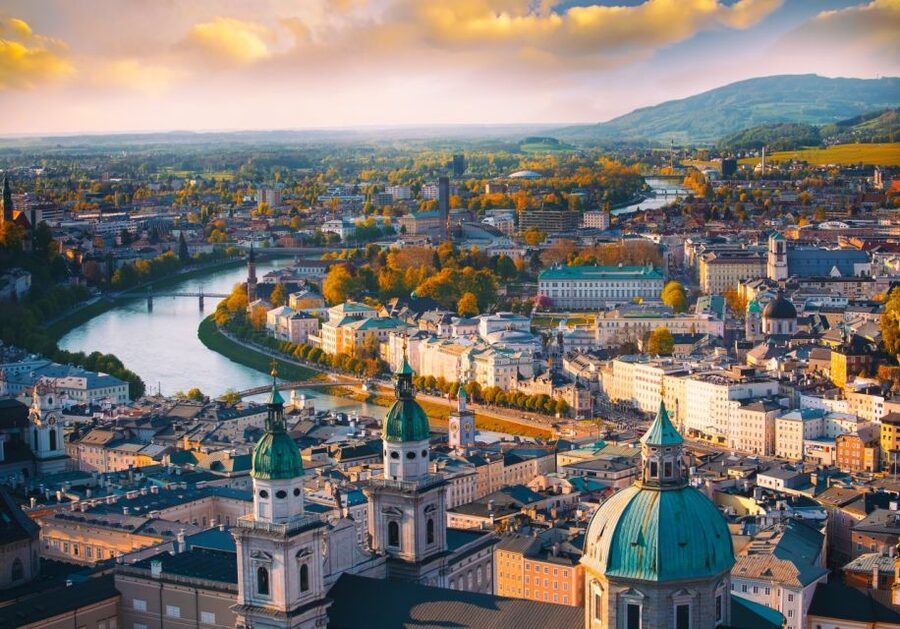 Vienna: Winery and Wine Tasting Tour with a Wine Expert - Should you book the Vienna wine tour?