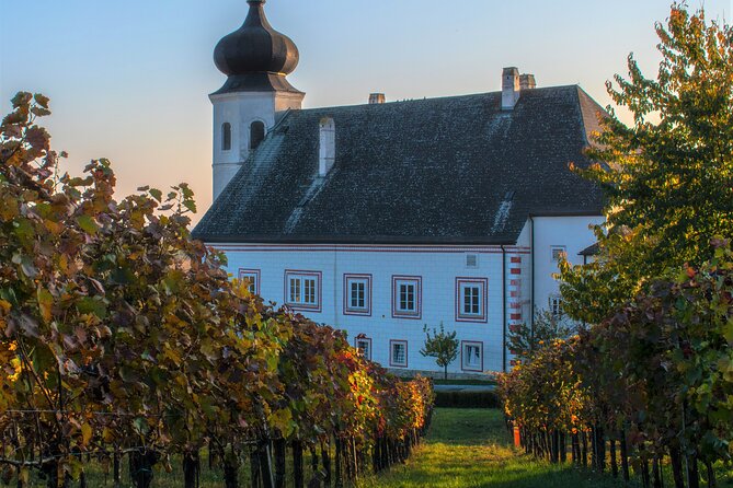 Vienna Woods Wine Tour - Wines, Vines & Good Times! - Winter replaces the hike with more wine