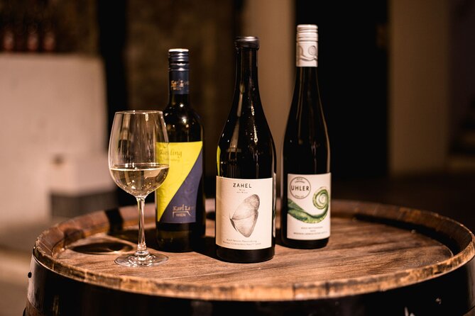 Viennese Wine Tasting in a Private Hidden Wine Cellar - Key points to know before booking