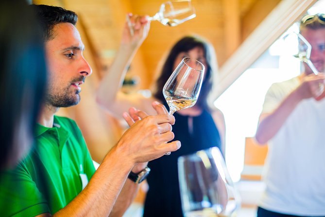 Wachau Valley Small-Group Tour and Wine Tasting from Vienna - Why the Wachau Valley makes a fine escape from Vienna