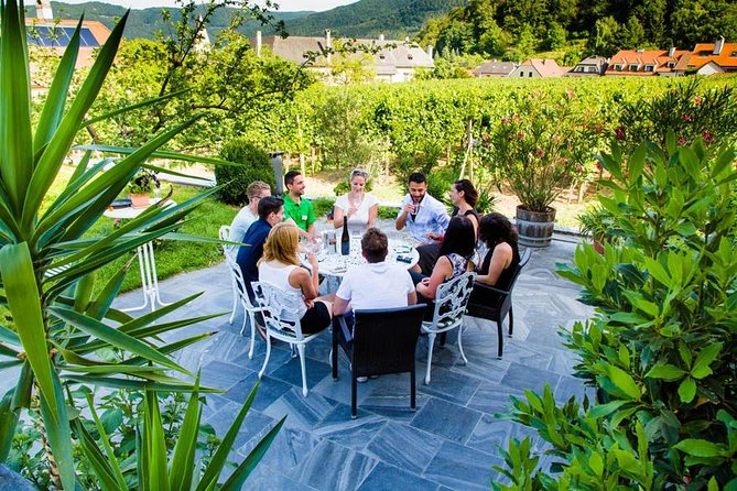Wachau Valley Small-Group Tour and Wine Tasting from Vienna - Riding out in an eight-seater vehicle