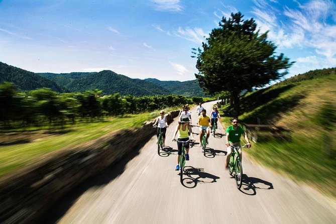 Wachau Valley Wine Tasting Bike Tour from Vienna - Weissenkirchen and the second tasting