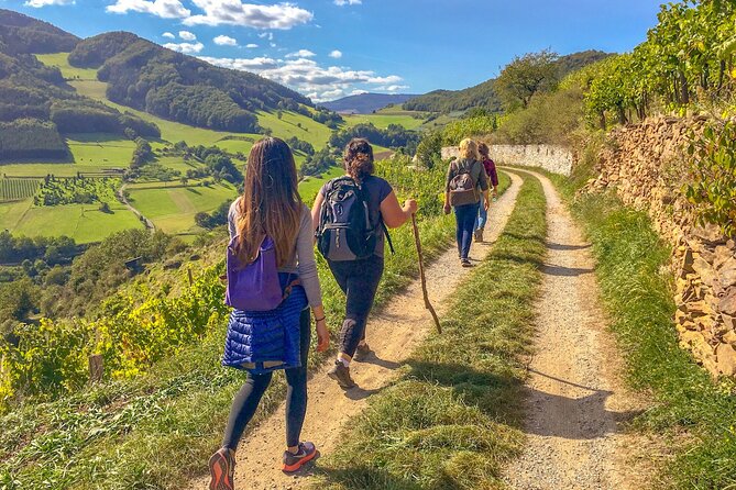 Wachau World Heritage Hike - Key points to know before you book
