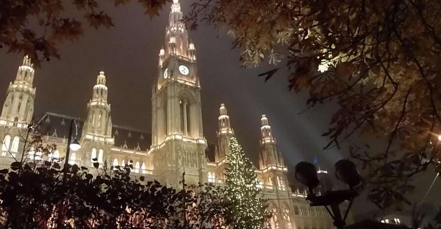 Wien: Tour with locals on the trails of the Christmas Tree - Following Vienna’s Christmas tree story