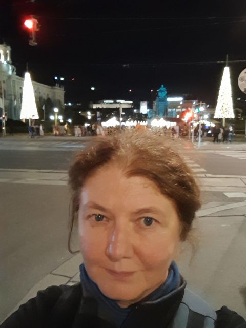 Wien: Tour with locals on the trails of the Christmas Tree - Why the Christmas tree theme works, and where it may not