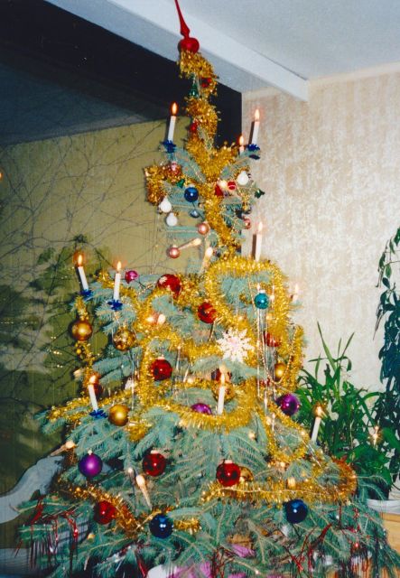 Wien: Tour with locals on the trails of the Christmas Tree - Should you book the Christmas Tree Trails tour?