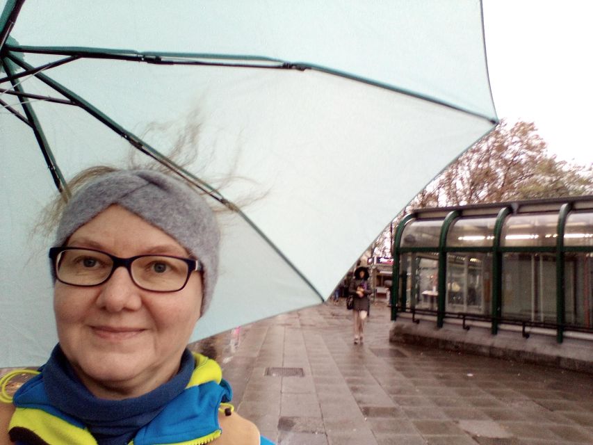 Wien: Tours with locals by public transport & walking - Belvedere and Schönbrunn require careful planning