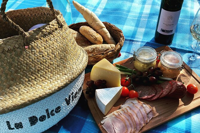 Wine Picknick overlocking vienna - The vineyard stop above Vienna