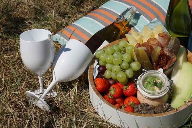 Wine Picknick overlocking vienna - A slower way to see Vienna
